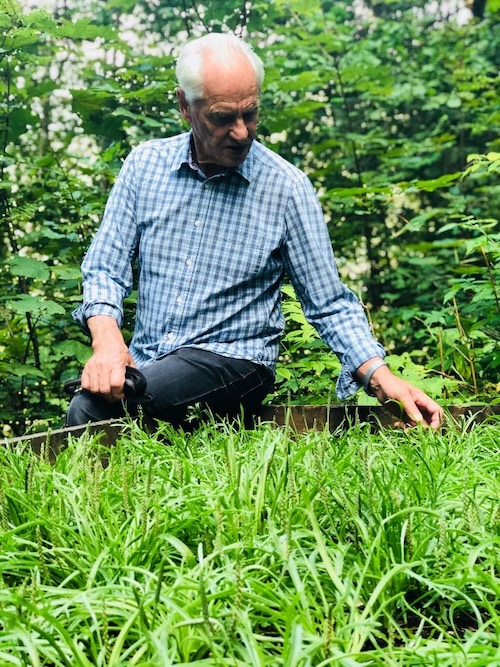 Albrecht dans son jardin